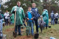 Посадка саженцев в Жулебинском парке